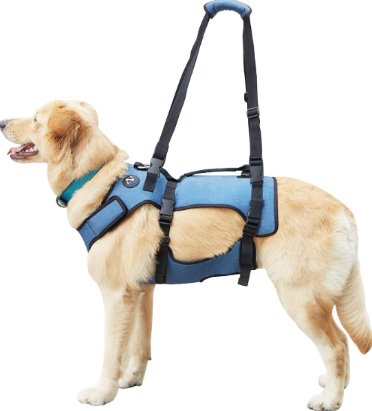 Supportive Care: Pet Mobility Assistance Harness